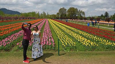 Tourists pose for a picture at the Tulip Garden in Srinagar on Friday. (Waseem Andrabi/HT) Tourists pose for a picture at the Tulip Garden in Srinagar on Friday. (Waseem Andrabi/HT)