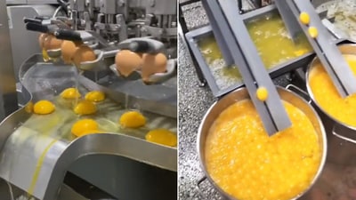 The image, taken from the viral Twitter video, shows a machine separating egg white and yolk. (Twitter/@HowThingsWork_)