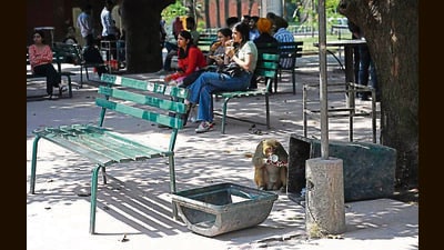 With hundreds of visitors, students, alumni thronging Stu-C daily, maintenance and beautification projects occupy a larger significance. (Ravi Kumar/HT) With hundreds of visitors, students, alumni thronging Stu-C daily, maintenance and beautification projects occupy a larger significance. (Ravi Kumar/HT)