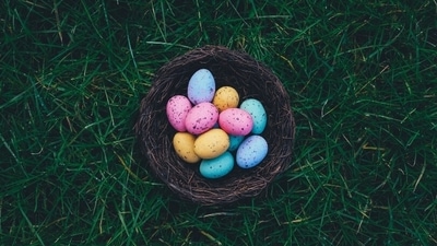 Easter 2023: Inspirational quotes to share with loved ones (Unsplash) Easter 2023: Inspirational quotes to share with loved ones (Unsplash)