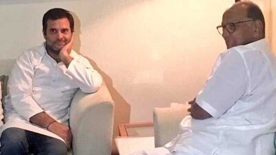 Congress leader Rahul Gandhi and NCP chief Sharad Pawar (File) Congress leader Rahul Gandhi and NCP chief Sharad Pawar (File)