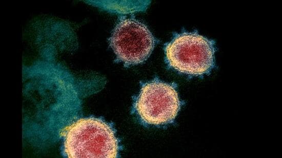 On March 26, an 88-year-old man from Sector 14, Chandigarh, had succumbed to the virus at GMSH, Sector 16. (AP)