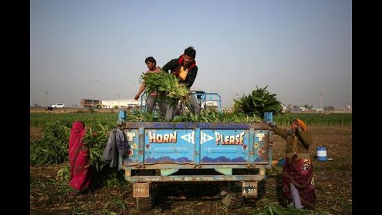 The expo aimed to create a localised, resilient, and robust supply chain for the tractor and implements industry. AMCA president Sunjay Kapur said “The expo’s primary objective was to bring the stakeholders in the tractor and farm implements sector together in order to facilitate a strong, localised, and robust supply chain.” (HT File Photo)