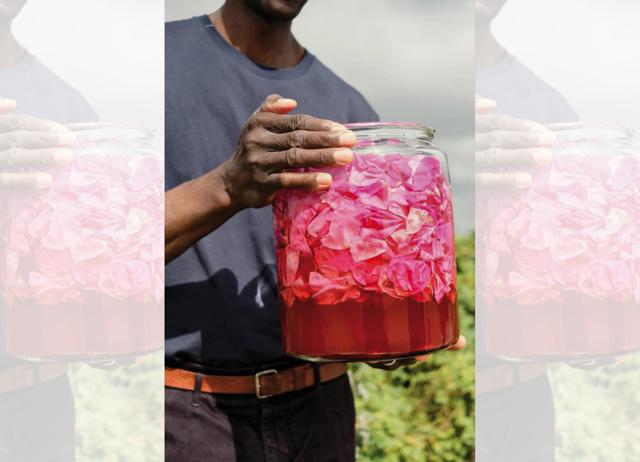 Redzepi will continue researching flavour and creating new products, like fermented fish sauce and (above) rose vinegar. (Noma) Redzepi will continue researching flavour and creating new products, like fermented fish sauce and (above) rose vinegar. (Noma)