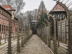 Auschwitz image used in WWE preview