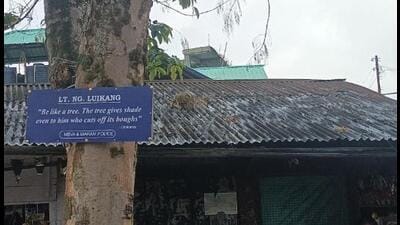 Maram Bazar Village Authority (MBVA) begun adopting trees around a marketplace area at Maram (HT Photo) Maram Bazar Village Authority (MBVA) begun adopting trees around a marketplace area at Maram (HT Photo)
