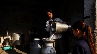 No decision has yet been taken to import dairy products, a top official said. (REUTERS) No decision has yet been taken to import dairy products, a top official said. (REUTERS)