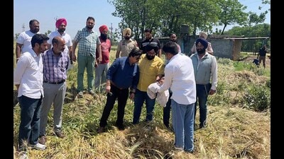 Officials from Administration interacting with farmers to collect information of damaged crop in Ludhiana on Saturday. (HT Photo) Officials from Administration interacting with farmers to collect information of damaged crop in Ludhiana on Saturday. (HT Photo)