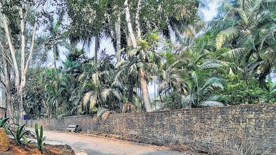 Thane, India - April 08, 2023: In a reply to a petition filed by a social activist from Thane regarding seven bungalows constructed illegally in the Yeoor forest since 2020, the National Green Tribunal (NGT) has asked the Thane Municipal Corporation (TMC), State of Maharashtra and Super Freak Estate Pvt. Ltd. owned by TMC's ex-chairman for education committee, to reply with explanation till May 31 regarding the illegal structures, in Thane, India, on Saturday, April 08, 2023. (Praful Gangurde/HT Photo) (HT PHOTO) Thane, India - April 08, 2023: In a reply to a petition filed by a social activist from Thane regarding seven bungalows constructed illegally in the Yeoor forest since 2020, the National Green Tribunal (NGT) has asked the Thane Municipal Corporation (TMC), State of Maharashtra and Super Freak Estate Pvt. Ltd. owned by TMC's ex-chairman for education committee, to reply with explanation till May 31 regarding the illegal structures, in Thane, India, on Saturday, April 08, 2023. (Praful Gangurde/HT Photo) (HT PHOTO)