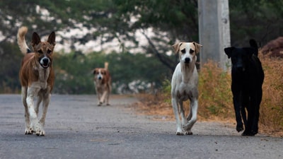 In the attack, the victim suffered grievous injuries and died. (Representative image/ Istcok)