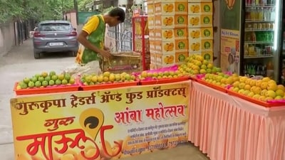 Gaurav Sanas claimed that his family's outlet is the first in the entire country to sell mangos on EMI. (ANI) Gaurav Sanas claimed that his family's outlet is the first in the entire country to sell mangos on EMI. (ANI)