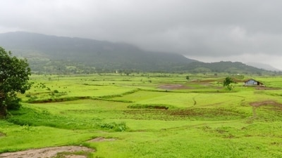 Nashik: Known as the wine capital of India, Nashik is a great weekend getaway from Mumbai that offers vineyard tours, hot air balloon rides, and ancient temples. (Pixabay) Nashik: Known as the wine capital of India, Nashik is a great weekend getaway from Mumbai that offers vineyard tours, hot air balloon rides, and ancient temples. (Pixabay)