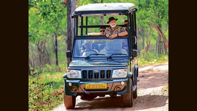 Prime Minister Narendra Modi during a safari at Bandipur Tiger Reserve on Sunday. (PTI) Prime Minister Narendra Modi during a safari at Bandipur Tiger Reserve on Sunday. (PTI)