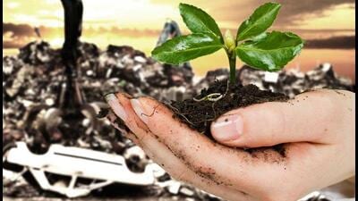 The fertilizer ministry cracked down on networks illegally diverting subsidized farm chemicals for industrial use (Agencies/Representative use)
