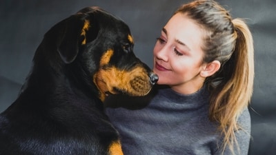 Rottweiler: Rottweilers are highly intelligent and loyal dogs that excel in obedience and agility competitions. They are often used as police dogs and service dogs. (Unsplash) Rottweiler: Rottweilers are highly intelligent and loyal dogs that excel in obedience and agility competitions. They are often used as police dogs and service dogs. (Unsplash)