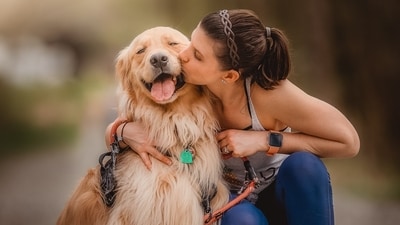 These breeds are known for their trainability, but it's important to note that each dog is an individual and may have its own personality and temperament. Proper training and socialization are important for all dogs, regardless of breed, to ensure they become well-behaved and obedient pets. (Unsplash) These breeds are known for their trainability, but it's important to note that each dog is an individual and may have its own personality and temperament. Proper training and socialization are important for all dogs, regardless of breed, to ensure they become well-behaved and obedient pets. (Unsplash)