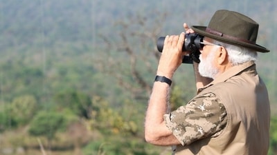 PM Modi shared pictures on Twitter and said, “Spent the morning at the scenic Bandipur Tiger Reserve and got a glimpse of India’s wildlife, natural beauty and diversity.” (Twitter/@narendramodi) PM Modi shared pictures on Twitter and said, “Spent the morning at the scenic Bandipur Tiger Reserve and got a glimpse of India’s wildlife, natural beauty and diversity.” (Twitter/@narendramodi)