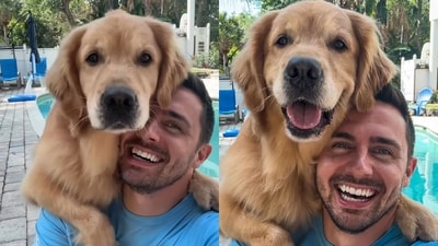 Ellie and its human companion posing for the selfie. (Instagram/@elliegoldenlife) Ellie and its human companion posing for the selfie. (Instagram/@elliegoldenlife)