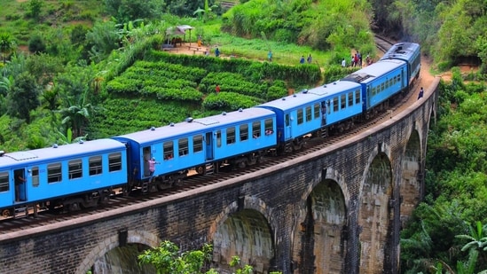 Sri Lanka: Sri Lanka is a beautiful island nation that offers a mix of beaches, wildlife, and culture. It's also affordable, with plenty of budget-friendly accommodation and food options available.(Unsplash)