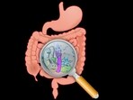 5 ways to manage disrupted gut microbiome, improve overall fitness to stay healthy 5 ways to manage disrupted gut microbiome, improve overall fitness to stay healthy