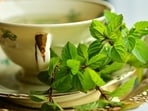 "Mint is one of the oldest culinary herbs that enhance the flavour and aroma of the dish and offers a range of potential health benefits," says nutritionist Lovneet Batra in her recent Instagram post, as she explains the many benefits of mint.