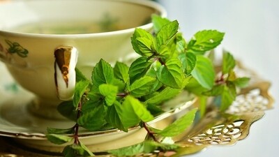 "Mint is one of the oldest culinary herbs that enhance the flavour and aroma of the dish and offers a range of potential health benefits," says nutritionist Lovneet Batra in her recent Instagram post, as she explains the many benefits of mint. (Pixabay) "Mint is one of the oldest culinary herbs that enhance the flavour and aroma of the dish and offers a range of potential health benefits," says nutritionist Lovneet Batra in her recent Instagram post, as she explains the many benefits of mint. (Pixabay)