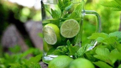 Improves skin health: The presence of antioxidant rosmarinic acid in mint leaves is beneficial in improving the blood circulation to your skin and hydrates the skin. Furthermore, it prevents free radical damage to the skin and delays the occurrence of wrinkles and fine lines. The benefits of salicylic acid and Vitamin A in mint leaves controls the secretions of sebum oil in the skin. (Pixabay) Improves skin health: The presence of antioxidant rosmarinic acid in mint leaves is beneficial in improving the blood circulation to your skin and hydrates the skin. Furthermore, it prevents free radical damage to the skin and delays the occurrence of wrinkles and fine lines. The benefits of salicylic acid and Vitamin A in mint leaves controls the secretions of sebum oil in the skin. (Pixabay)