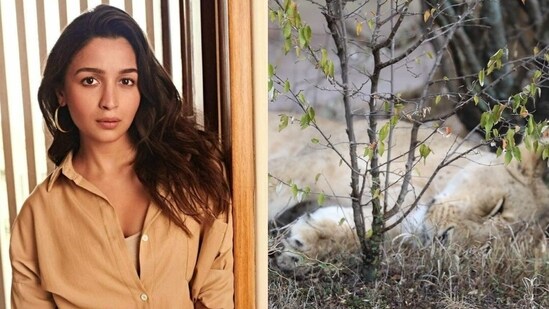 Alia Bhatt put up a post about her 'Monday mood' on Instagram.