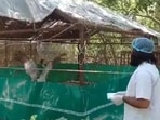 Mohammad Arif meets his 'friend' Sarus crane in Kanpur Zoo