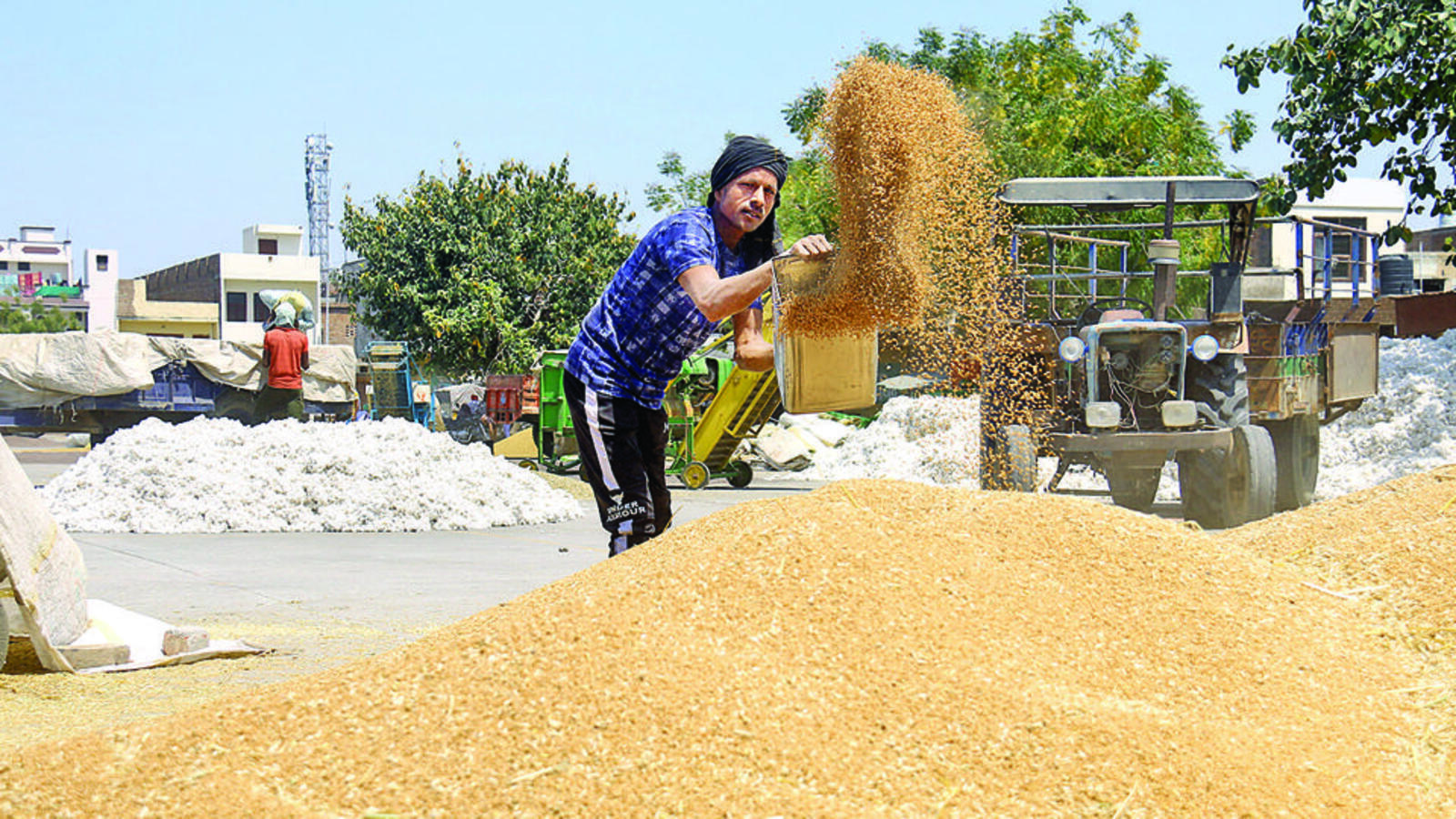 Centre eases wheat purchase norms for Punjab, Haryana | Latest News India
