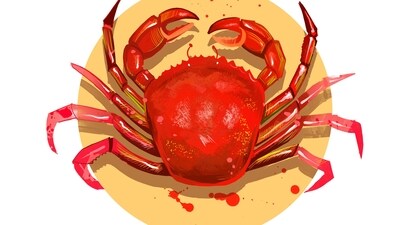 Cancer Daily Horoscope Today for April 12, 2023: Do not travel to hilly terrains, especially when you need to drive. Cancer Daily Horoscope Today for April 12, 2023: Do not travel to hilly terrains, especially when you need to drive.
