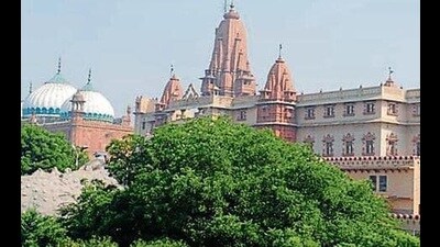 Now, the Muslim side will have to file their reply to the objections. (HT Photo) Now, the Muslim side will have to file their reply to the objections. (HT Photo)