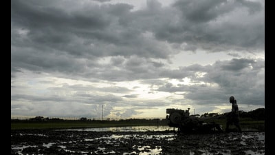 There is a 35% forecast probability of a “normal” monsoon this year. (REUTERS) There is a 35% forecast probability of a “normal” monsoon this year. (REUTERS)