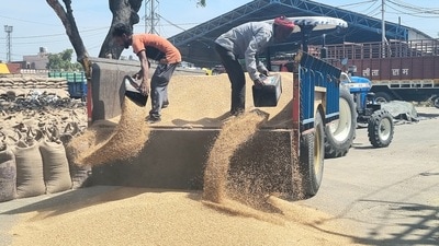 With the arrival of wheat picking up in Haryana mandis, government agencies have now improved the procurement operations. (HT Photo) With the arrival of wheat picking up in Haryana mandis, government agencies have now improved the procurement operations. (HT Photo)