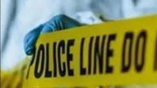 Gokalpuri murders: Delhi woman killed elderly in-laws to continue affair