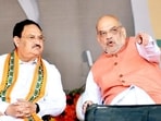 Union home minister Amit Shah and BJP president J P Nadda. (PTI)