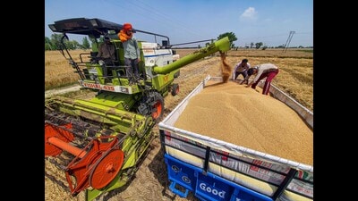 Farmers use a combine harvester in a wheat field during harvesting season in Amritsar on Wednesday. (PTI) Farmers use a combine harvester in a wheat field during harvesting season in Amritsar on Wednesday. (PTI)