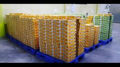 Mangoes produced in the state are packed in boxes and exported by sea to the U.S., Japan and Australia. (HT PHOTO) Mangoes produced in the state are packed in boxes and exported by sea to the U.S., Japan and Australia. (HT PHOTO)