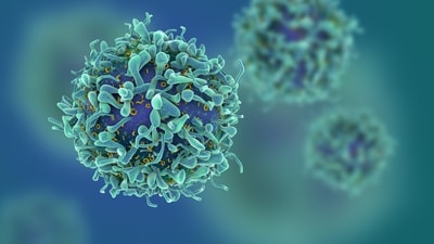 3D illustration of cancer cells (Shutterstock) 3D illustration of cancer cells (Shutterstock)