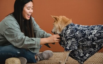 Things pet parents do for their beloved pooches - shirts for dogs are a good accessory to opt for. (Pexels) Things pet parents do for their beloved pooches - shirts for dogs are a good accessory to opt for. (Pexels)