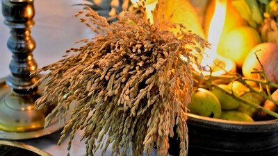 Regional variations: While Vishu is primarily celebrated in Kerala, there are variations in the way it is observed in different parts of the region. For example, in some areas, Vishu is also associated with the harvest season and is celebrated with agricultural rituals. (Pixabay) Regional variations: While Vishu is primarily celebrated in Kerala, there are variations in the way it is observed in different parts of the region. For example, in some areas, Vishu is also associated with the harvest season and is celebrated with agricultural rituals. (Pixabay)