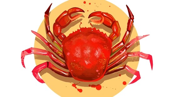 Cancer Daily Horoscope Today for April 13, 2023: Minor monetary issues may be a problem today.
