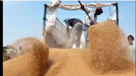 Small and marginal farmers producing 60 quintal or less wheat would be given priority in the procurement under the policy that would be effective till June 15, 2023 (Pic for representation)