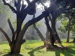 Security warns against food, games and PDA at Bengaluru's Cubbon Park: Report Security warns against food, games and PDA at Bengaluru's Cubbon Park: Report