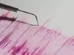 Indonesia Earthquake: The quake occurred in the Indonesian region at 04:37:46 (UTC 05:30) at a depth of 70.2 km. Indonesia Earthquake: The quake occurred in the Indonesian region at 04:37:46 (UTC 05:30) at a depth of 70.2 km.