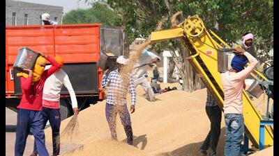 A total of 3.17 lakh tonnes of grain arrived in mandis across Punjab on Thursday, taking the total arrivals to 6.47 lakh tonnes so far . A total of 3.17 lakh tonnes of grain arrived in mandis across Punjab on Thursday, taking the total arrivals to 6.47 lakh tonnes so far .