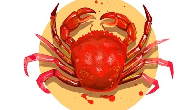 Cancer Daily Horoscope Today for April 14, 2023: Finance may also be a trouble today. Cancer Daily Horoscope Today for April 14, 2023: Finance may also be a trouble today.
