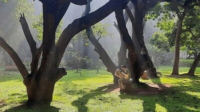 Security warns against food, games and PDA at Bengaluru's Cubbon Park: Report Security warns against food, games and PDA at Bengaluru's Cubbon Park: Report