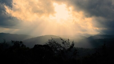Thekkady: Nestled in the Western Ghats, Thekkady is a paradise for wildlife enthusiasts. Home to the Periyar Wildlife Sanctuary, this destination offers an opportunity to witness animals in their natural habitat. Take a boat ride on the Periyar Lake to spot elephants, bison, and tigers (Unsplash)