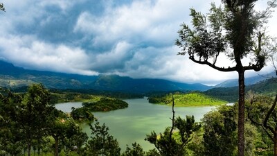 Munnar: Located in Kerala, Munnar is famous for its sprawling tea estates and scenic valleys. Take a walk through the tea gardens or visit the Eravikulam National Park to spot the endangered Nilgiri Tahr. (Unsplash)